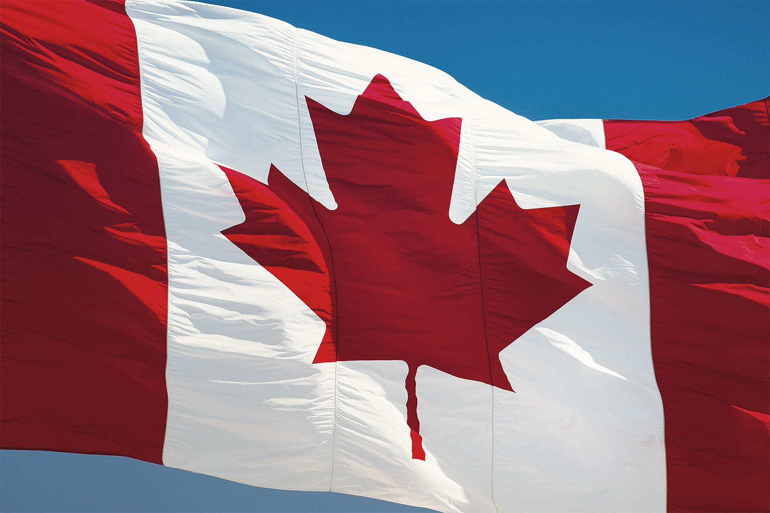 Canadian maple leaf flag